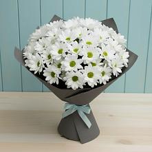 Букет цветов из:  Хризантемы в Лесорогске