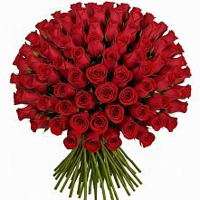 Букет Красные розы Чери Лав в Лесорогске